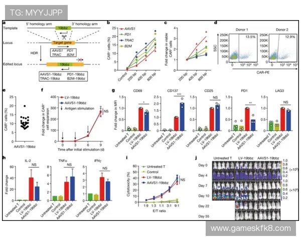 深入解析FP电游在技术创新中的重要角色