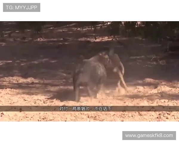 凯发中国区天生赢家一触即发:最新赛事动态与玩家实战技巧分享 凯发中国区天生赢家一触即发:最新赛事动态与玩家实战技巧分享